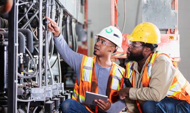 Best Electric Panel Repair  in St Elmo, IL