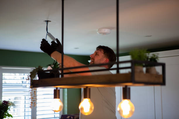 Best Electrician for Home Renovation  in St Elmo, IL