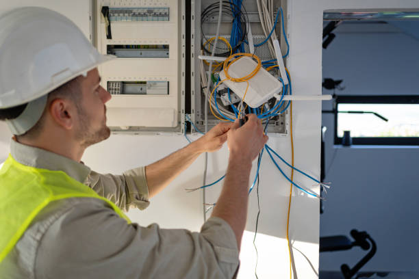 Best Ceiling Fan Installation Electrician  in St Elmo, IL